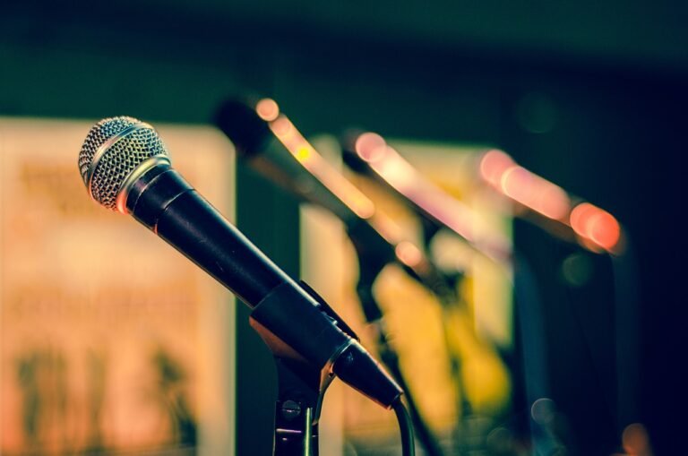 microphone dynamique ou à condensateur pour l'enregistrement asmr